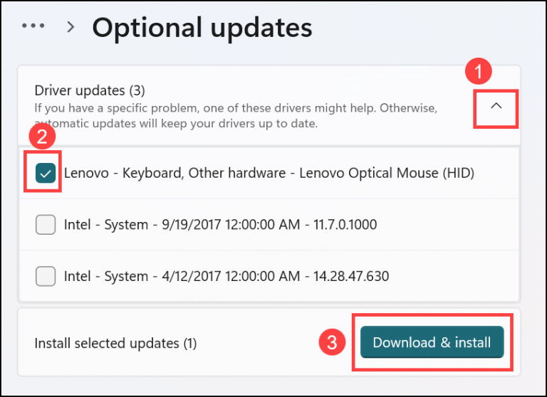 How to Update Drivers on Windows 11? Manual Way and Best Software